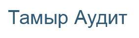 ТОО "Тамыр Аудит"